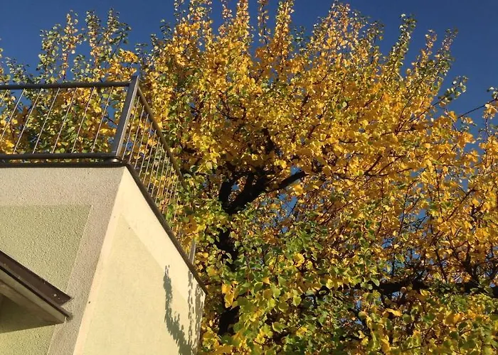 Ajo - Alte Donau Garden Flat - Self-check-in Відень