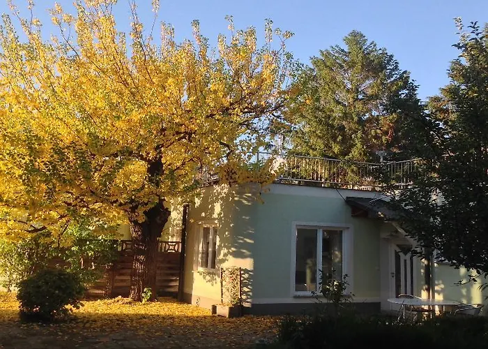 Ajo - Alte Donau Garden Flat - Self-check-in *